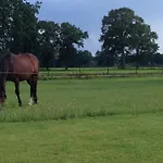 Nyaraló Het Klavertje *