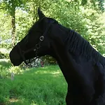 Het Klavertje Nyaraló Laren