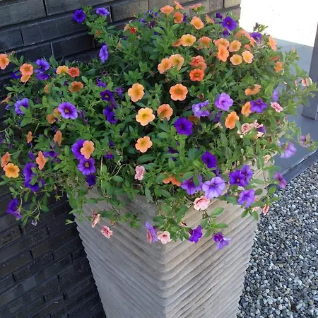 Het Klavertje 펜션 *