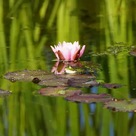 펜션 Het Klavertje