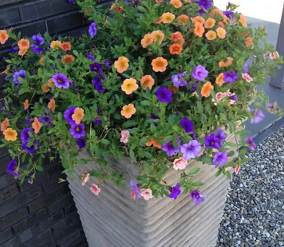 Het Klavertje Ferienhaus *