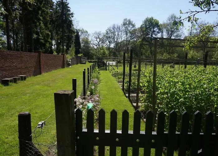 Het Klavertje Ferienhaus *