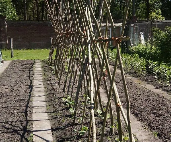 Het Klavertje Ferienhaus Laren (Gelderland)