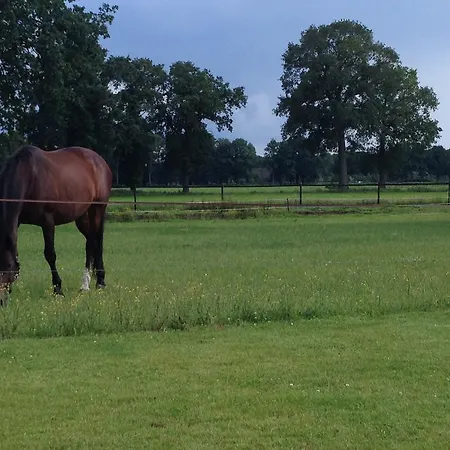 Σπίτι διακοπών Het Klavertje *