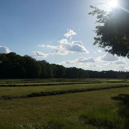 Het Klavertje Tatil Evi Laren (Gelderland)