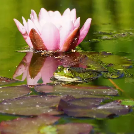 Σπίτι διακοπών Het Klavertje