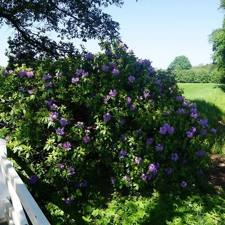 Het Klavertje * Laren (Gelderland)