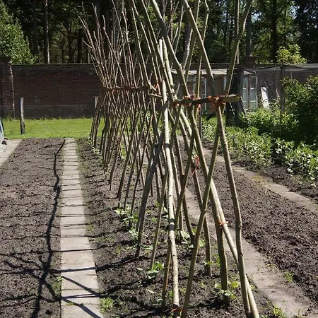 Het Klavertje Σπίτι διακοπών Laren (Gelderland)