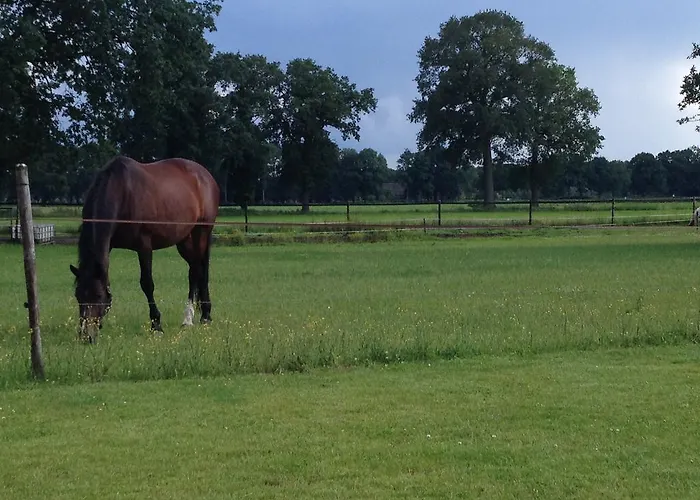 Semesterbostad Het Klavertje *