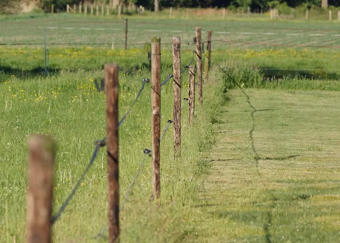 Het Klavertje Laren (Gelderland)