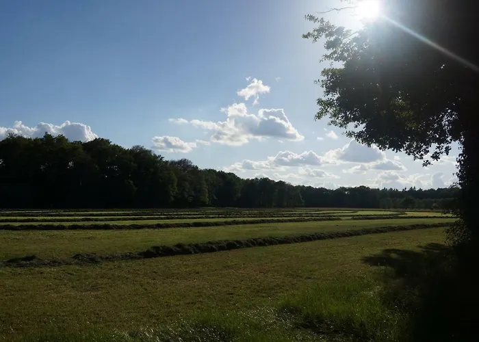 Het Klavertje Semesterbostad Laren (Gelderland)