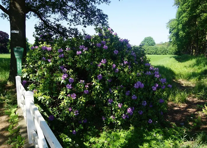 Het Klavertje * Laren (Gelderland)